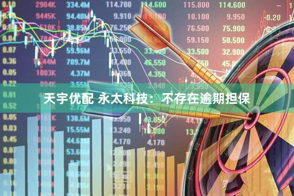 天宇优配 永太科技:不存在逾期担保