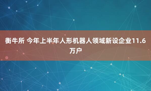 衡牛所 今年上半年人形机器人领域新设企业11.6万户